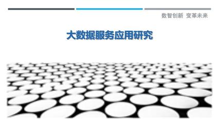 大数据服务应用研究-剖析洞察