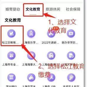 在市教委,市财政局,市大数据中心的支持指导下,今年松江区在全市先行