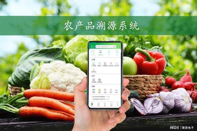 农产品溯源系统,大数据管理农事,保障食品安全